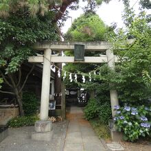 雪塚稲荷神社鳥居