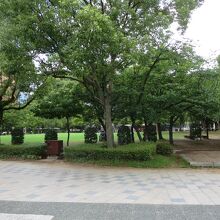 天神中央公園は福岡市の中心部にありますが緑豊かです。