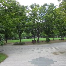 春には桜が満開になる天神中央公園の一角