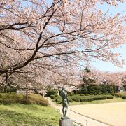 桜の名所、平日でしたが駐車場満車でした。