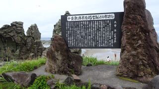 オススメは青池２号で