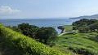 かなり広大な原っぱ