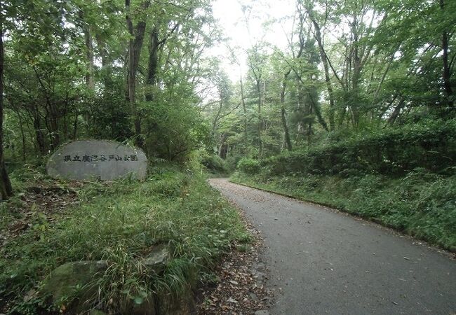 森林に覆われた丘をそのまま公園にしたような緑あふれる公園