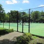 石神井公園に隣接した公園で駐車場を借りました