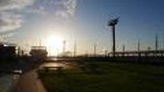 しばふもあるよ。