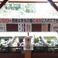 野菜１００円均一