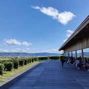 富良野盆地と十勝岳連峰を見渡すブドウ畑の丘に