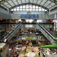 南国らしいです