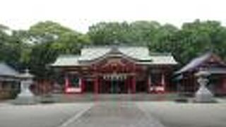 藩主寄進の松の木は見当たらず。