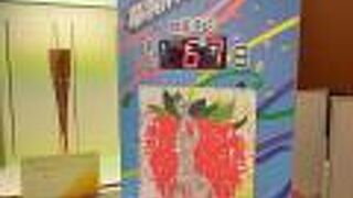 文部科学省にある情報ひろばに！