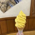 道の駅 ひない とっと館