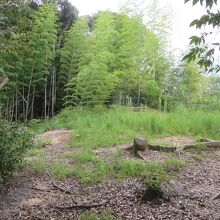 大土居水城跡の上部です