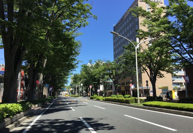 駅の北口からの一本道。