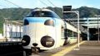 【パンダくろしお（287系）】12分の1の確率に歓喜も自由席ナシは効きました