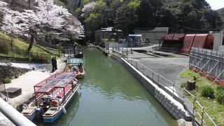 予約が取れなかったので見学だけでした