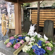 6月らしい紫陽花の手水舎