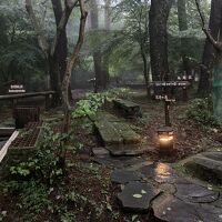 露天風呂への道…敷地内の豊かな森