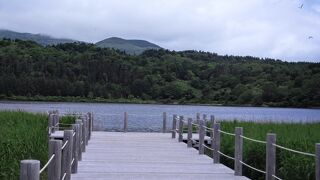 利尻山は雲の中