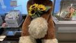 タルティン 東武百貨店 池袋店