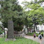 全国の氷川神社の総本社です。