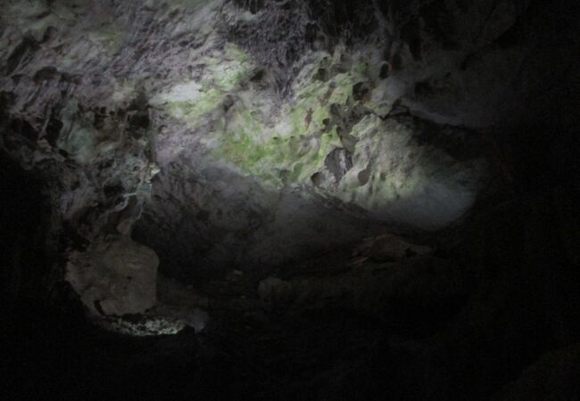洞窟入口近くにありました