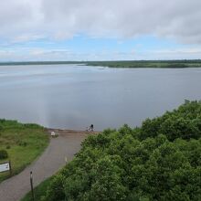 展望台から見た風景