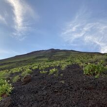 富士宮口からの富士山です。