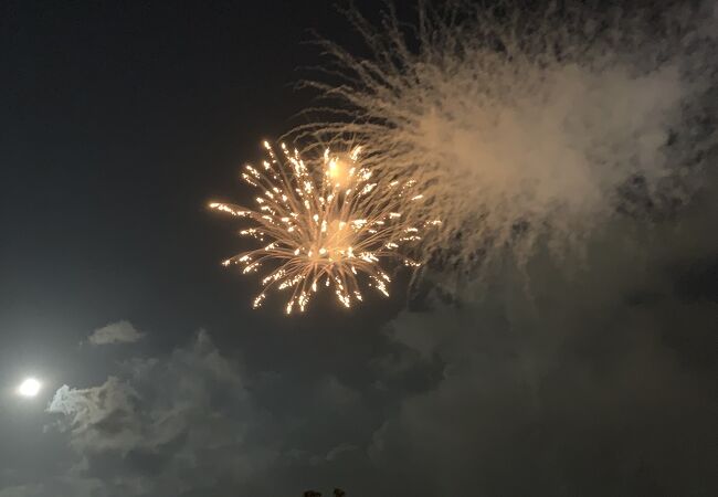 東京ディズニーリゾートの花火 クチコミ アクセス 営業時間 東京ディズニーリゾート フォートラベル