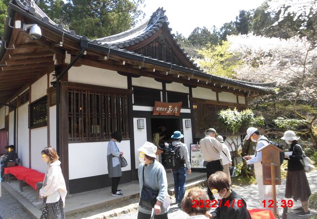 入園料を払って境内を見学中に見つけたお食事処