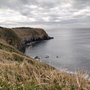 館山などの房総半島も見られて最高