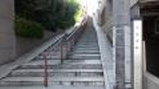 名前自体、新宿らしいなあと感じました。