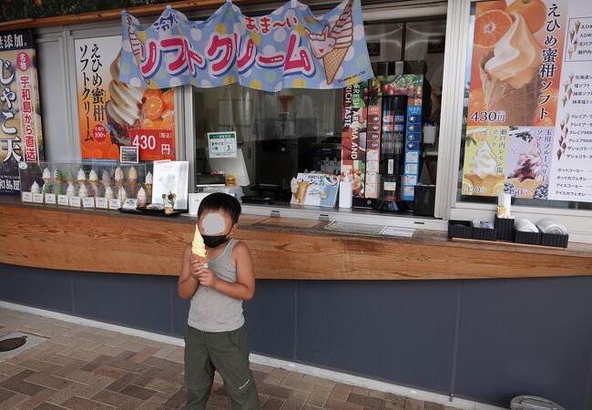 来島海峡大橋を見渡せるしまなみ海道の入り口で愛媛の美味をいただく