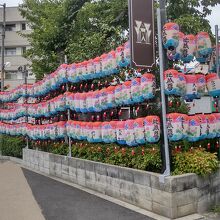 夙川公園 （地蔵盆）