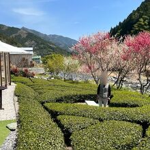 池川茶園 工房Cafe