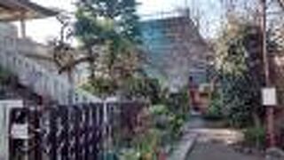 椿の花がとても鮮やか