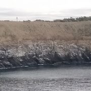 特におすすめなのは、ウミウの自然繁殖地