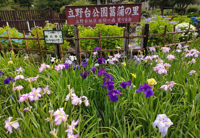 立野台公園