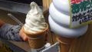 これまでに食べたソフトクリームの中で一番美味しかったかもしれない