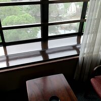 中庭の鯉が凄いです