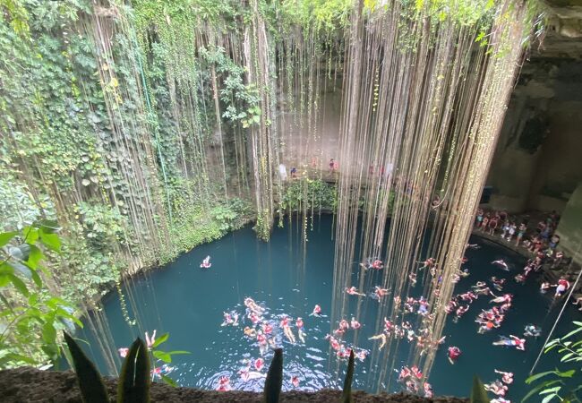 セノーテ　Cenote 2025年 XCAJUM CENOTE - 出発前に知っておくべきことすべて