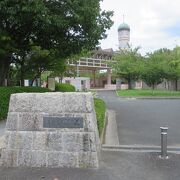 大規模公園は様々な楽しみ方があります。