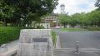 大規模公園は様々な楽しみ方があります。