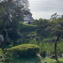 木々が立派です