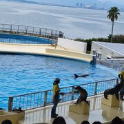 楽しい水族館