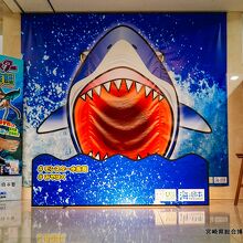 企画展「モンスター水族館」