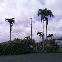 コナコーヒーベルトから見える入り口付近風景