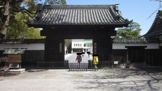 散歩にもオススメ