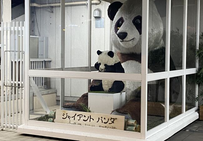ジャイアントパンダの像 クチコミ アクセス 営業時間 上野 御徒町 フォートラベル ジャイアントパンダの像 クチコミ アクセス 営業時間 上野 御徒町 フォートラベル