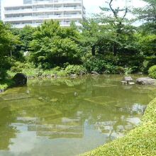 毛利庭園は、池を中心にしたきれいな日本式の庭園のようです。