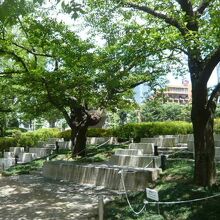 毛利庭園の緑の樹々に囲まれたベンチです。休憩には最適の場所